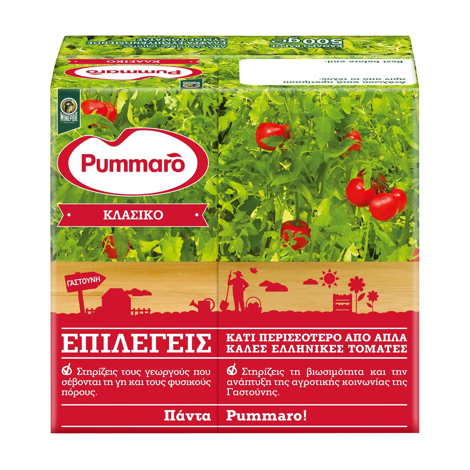 PUMMARO Ντομάτα Πασσάτα Κλασικό 500g - Image 2