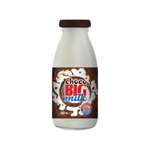 CHOCO BIG MILK 500ML FRESH SNACK
